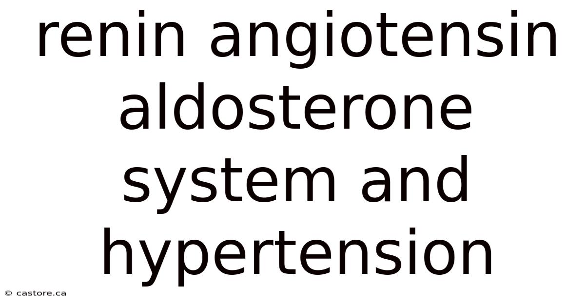 Renin Angiotensin Aldosterone System And Hypertension