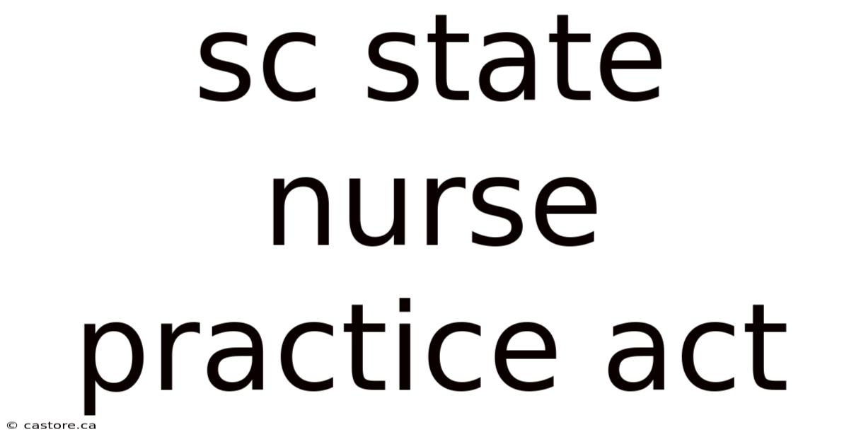Sc State Nurse Practice Act