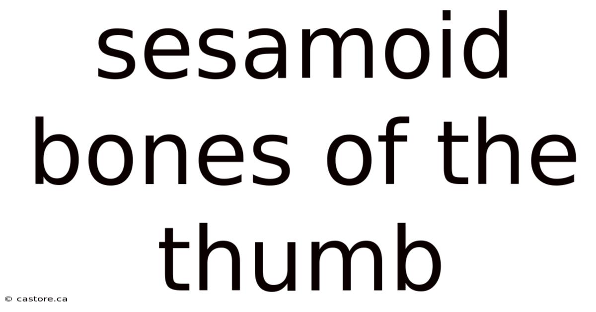 Sesamoid Bones Of The Thumb