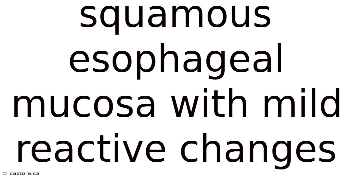 Squamous Esophageal Mucosa With Mild Reactive Changes