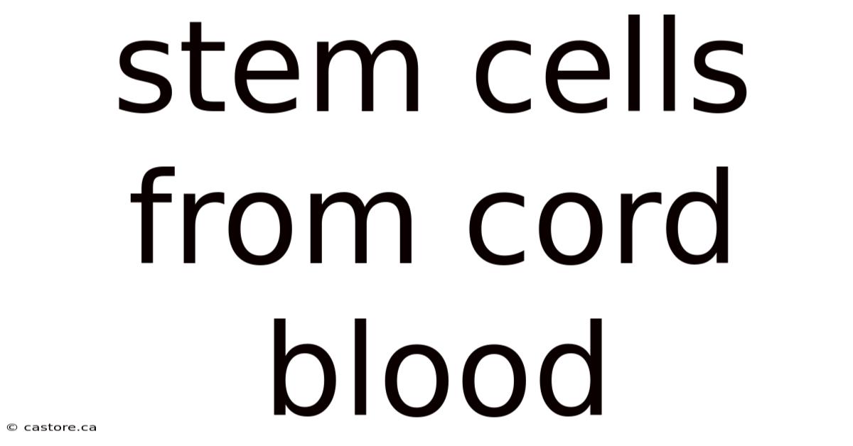 Stem Cells From Cord Blood