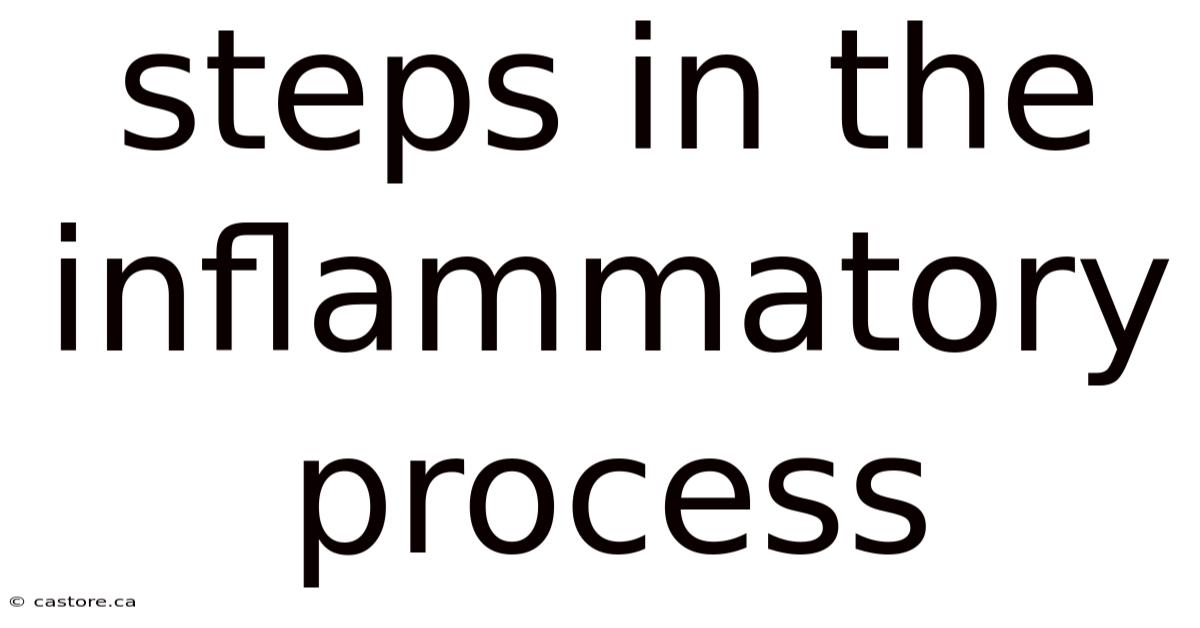 Steps In The Inflammatory Process