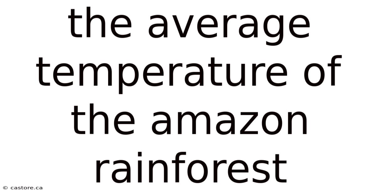 The Average Temperature Of The Amazon Rainforest