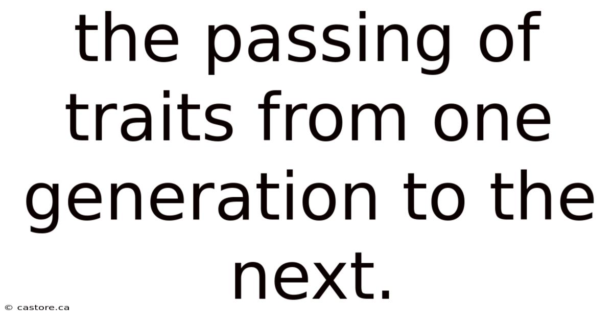 The Passing Of Traits From One Generation To The Next.