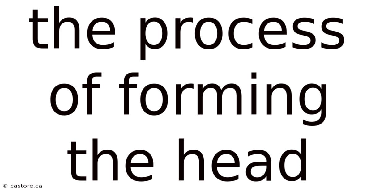 The Process Of Forming The Head