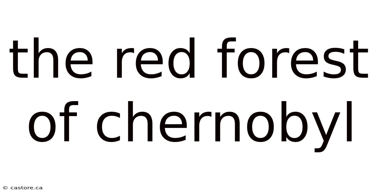 The Red Forest Of Chernobyl