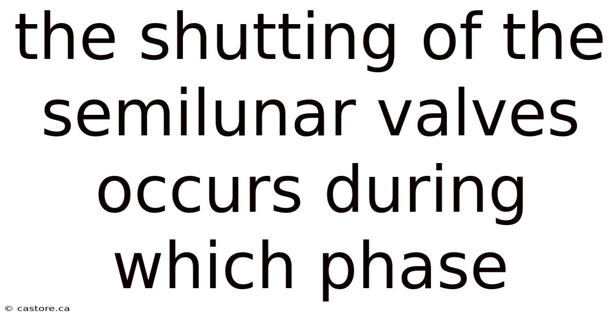The Shutting Of The Semilunar Valves Occurs During Which Phase