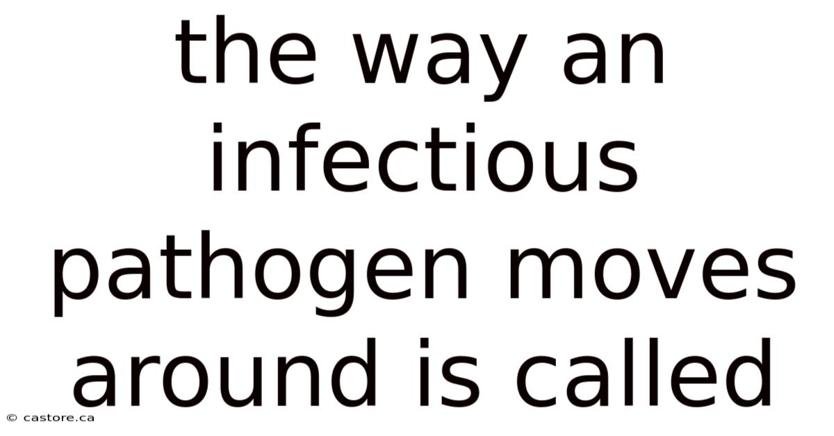 The Way An Infectious Pathogen Moves Around Is Called