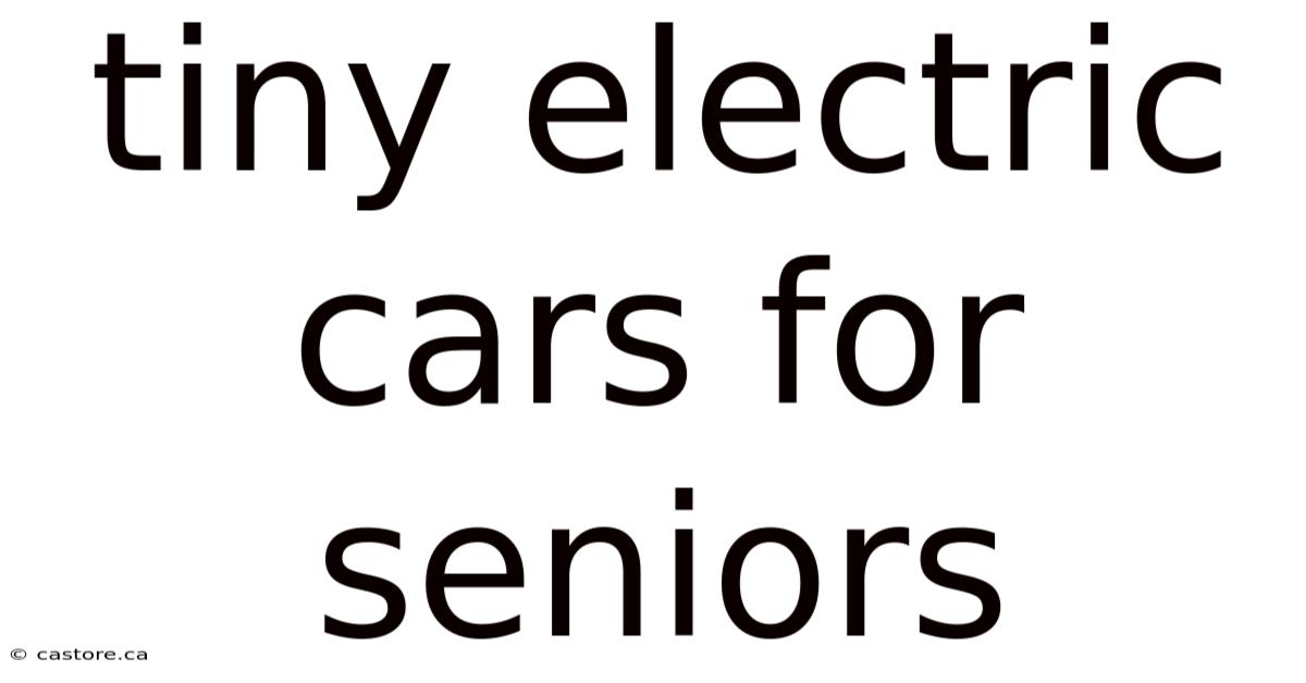 Tiny Electric Cars For Seniors