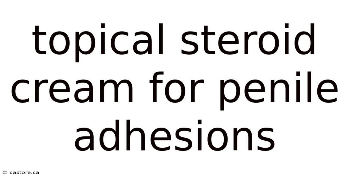 Topical Steroid Cream For Penile Adhesions