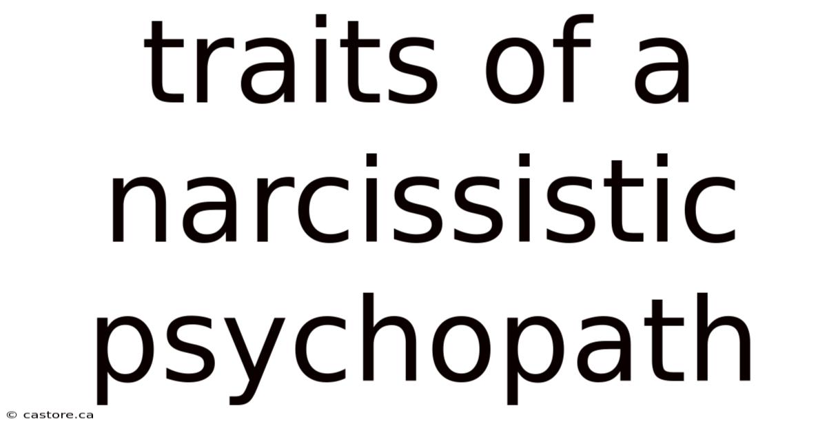 Traits Of A Narcissistic Psychopath