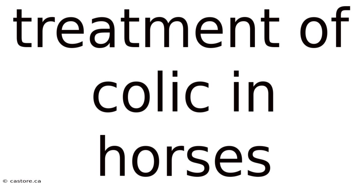 Treatment Of Colic In Horses