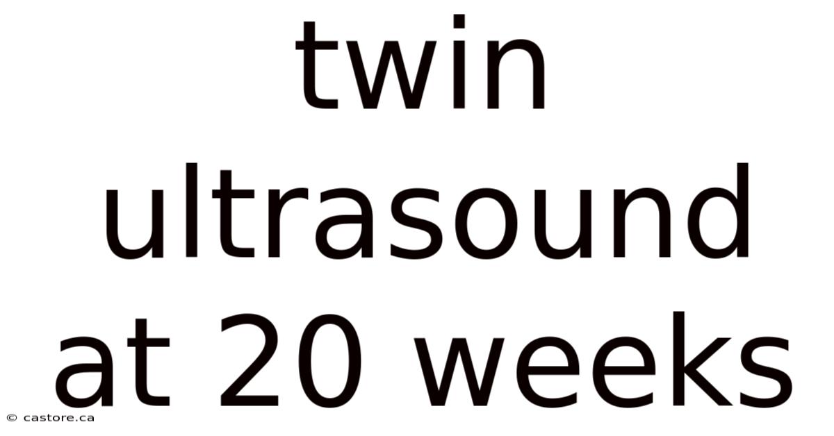 Twin Ultrasound At 20 Weeks