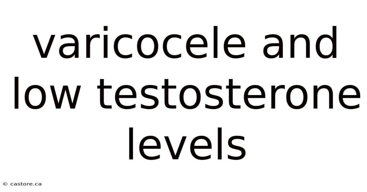 Varicocele And Low Testosterone Levels