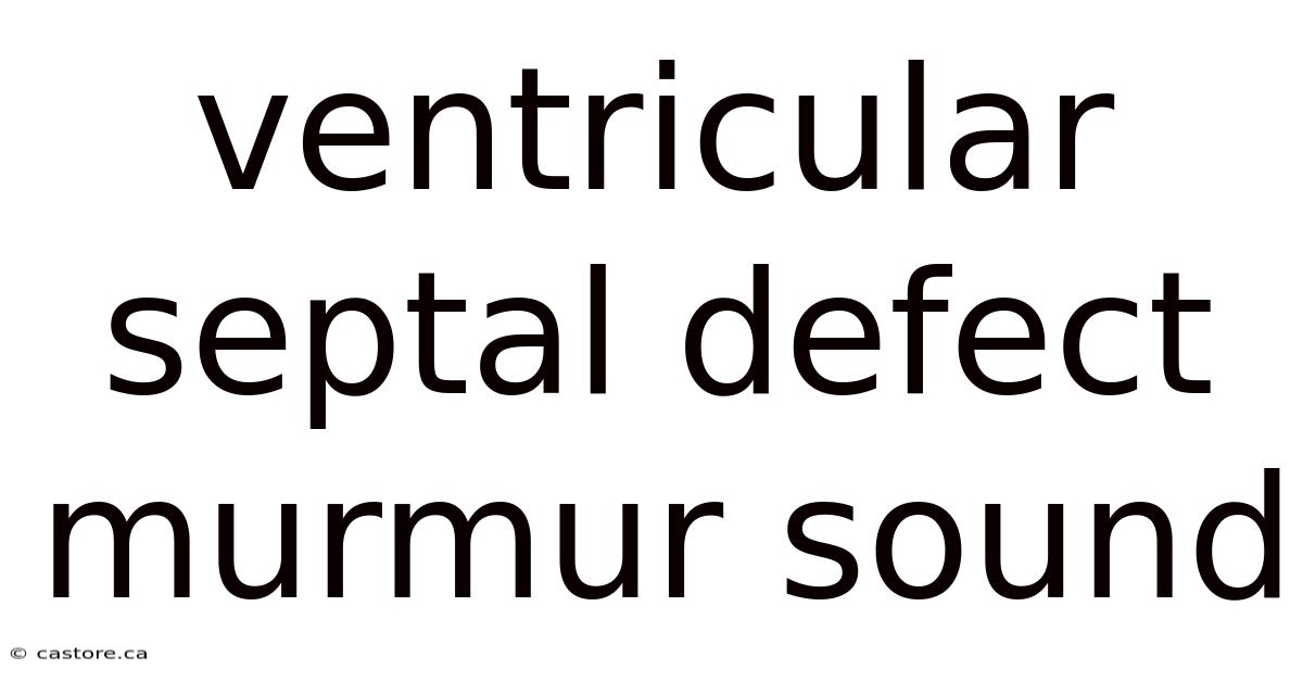 Ventricular Septal Defect Murmur Sound