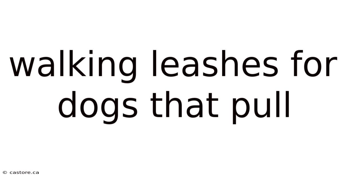 Walking Leashes For Dogs That Pull