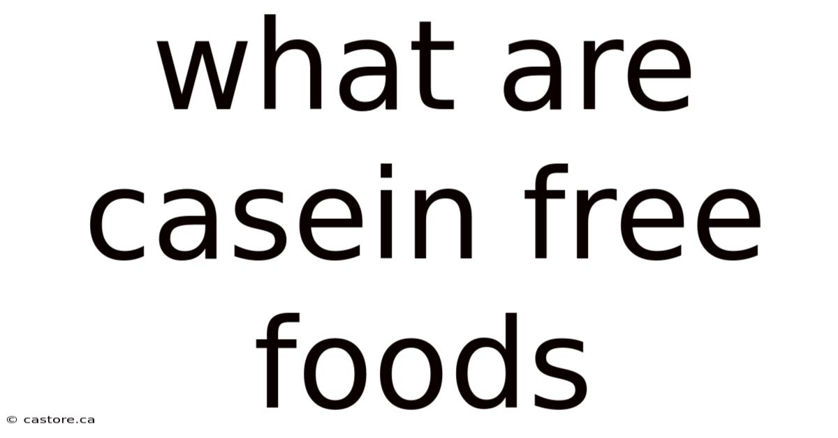 What Are Casein Free Foods