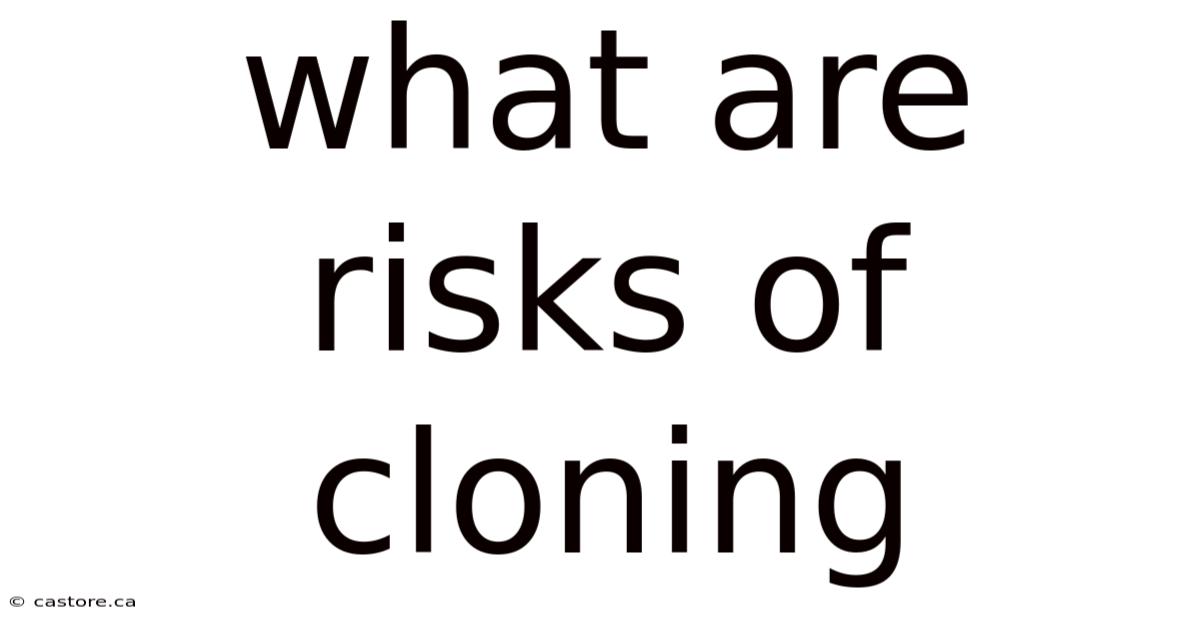 What Are Risks Of Cloning