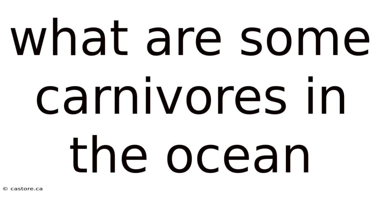 What Are Some Carnivores In The Ocean