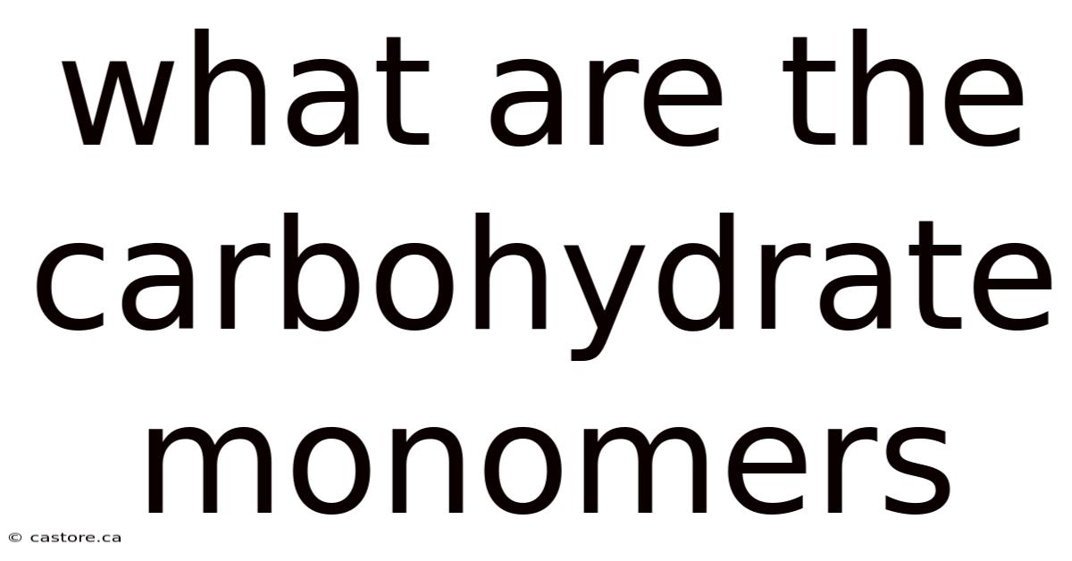 What Are The Carbohydrate Monomers
