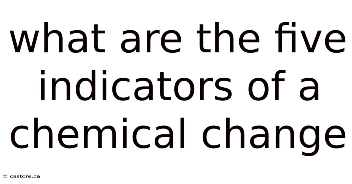 What Are The Five Indicators Of A Chemical Change