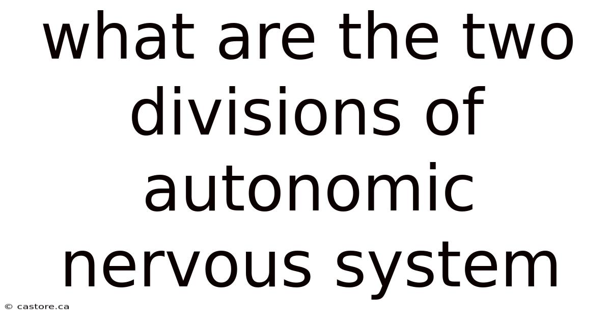 What Are The Two Divisions Of Autonomic Nervous System