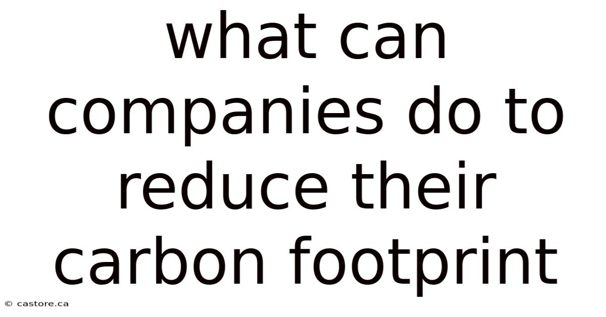 What Can Companies Do To Reduce Their Carbon Footprint