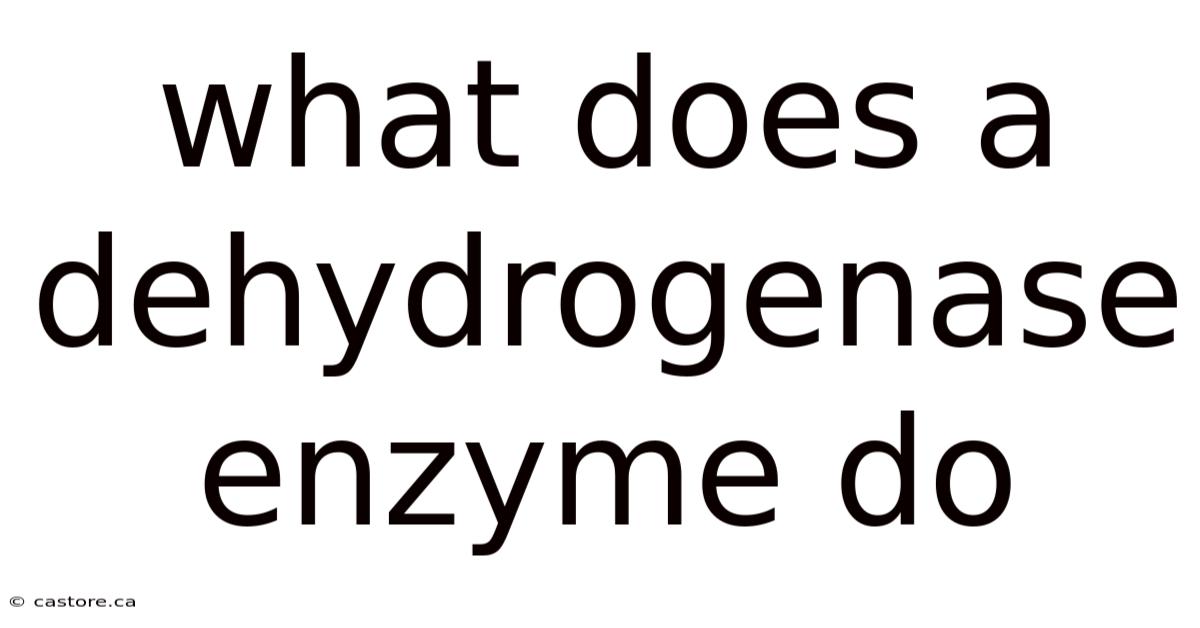 What Does A Dehydrogenase Enzyme Do