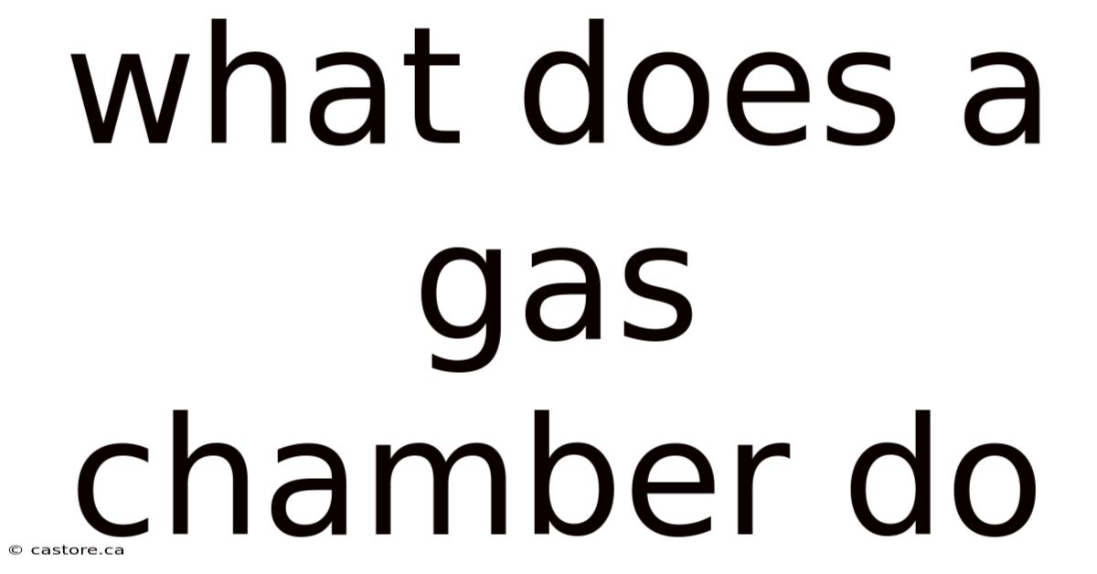 What Does A Gas Chamber Do