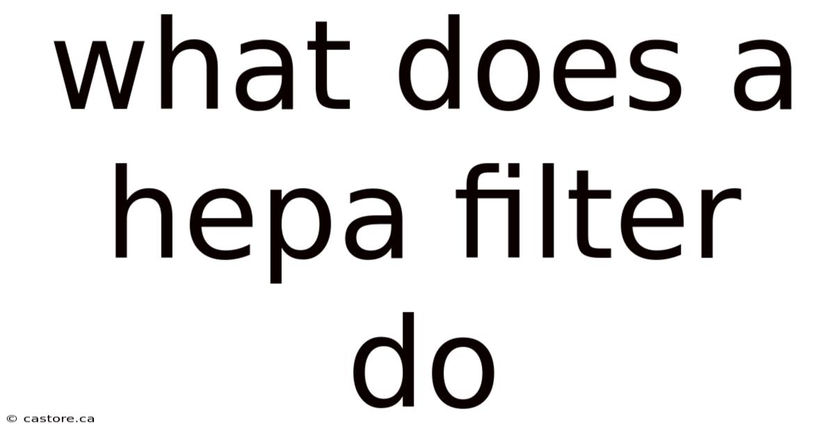 What Does A Hepa Filter Do