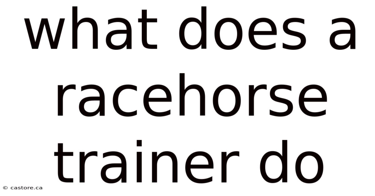 What Does A Racehorse Trainer Do