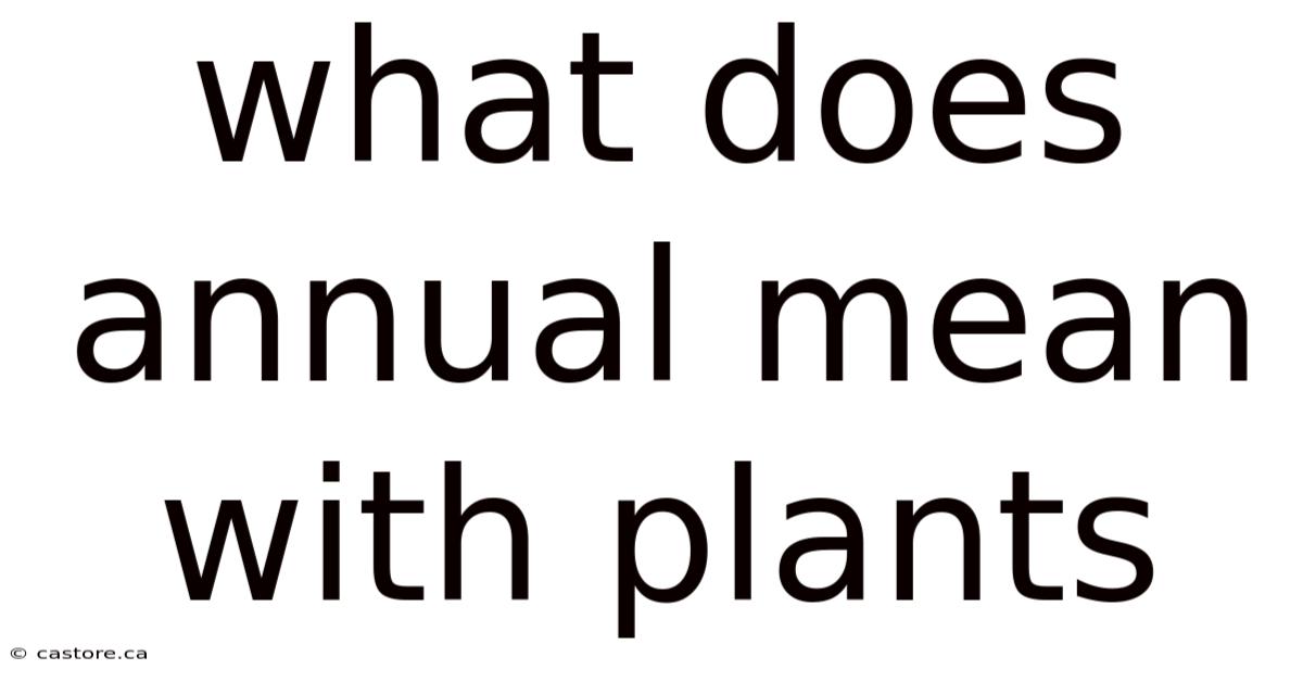 What Does Annual Mean With Plants