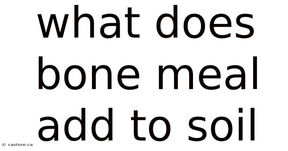 What Does Bone Meal Add To Soil