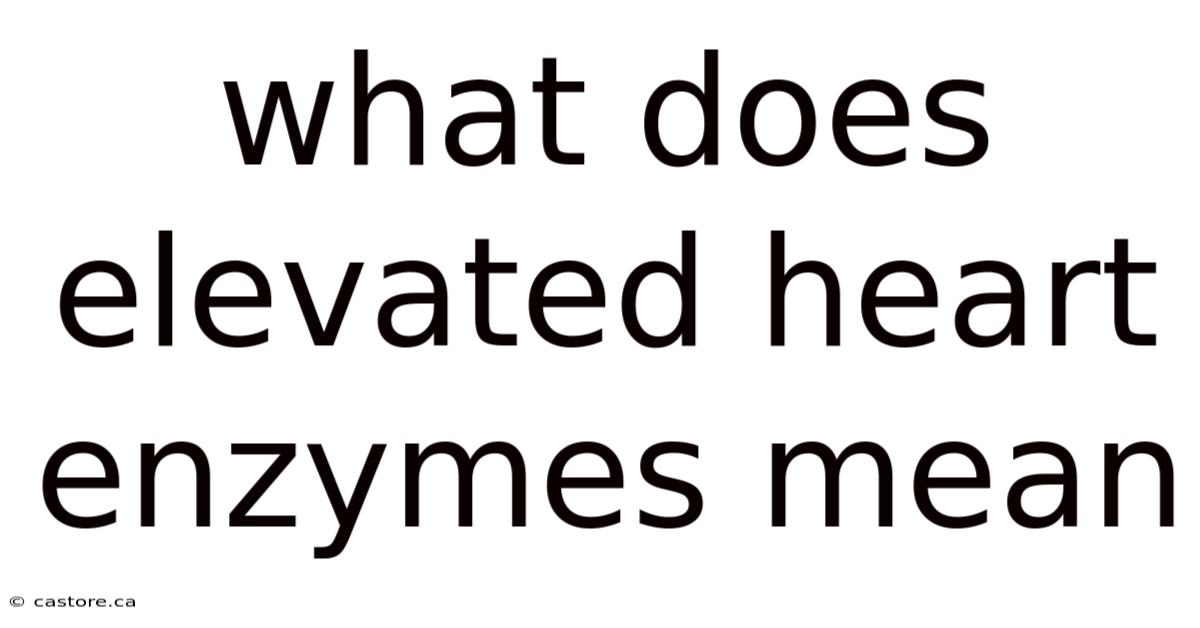 What Does Elevated Heart Enzymes Mean