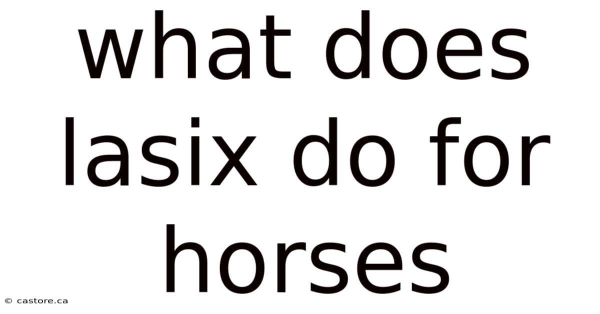 What Does Lasix Do For Horses