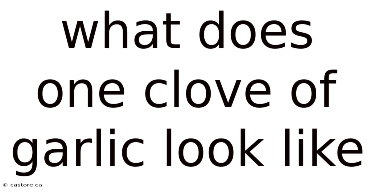 What Does One Clove Of Garlic Look Like