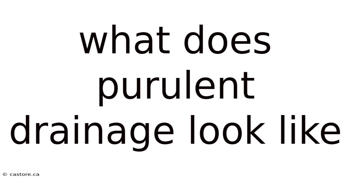 What Does Purulent Drainage Look Like