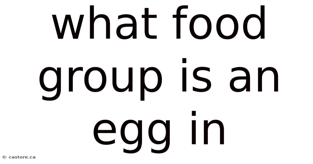What Food Group Is An Egg In