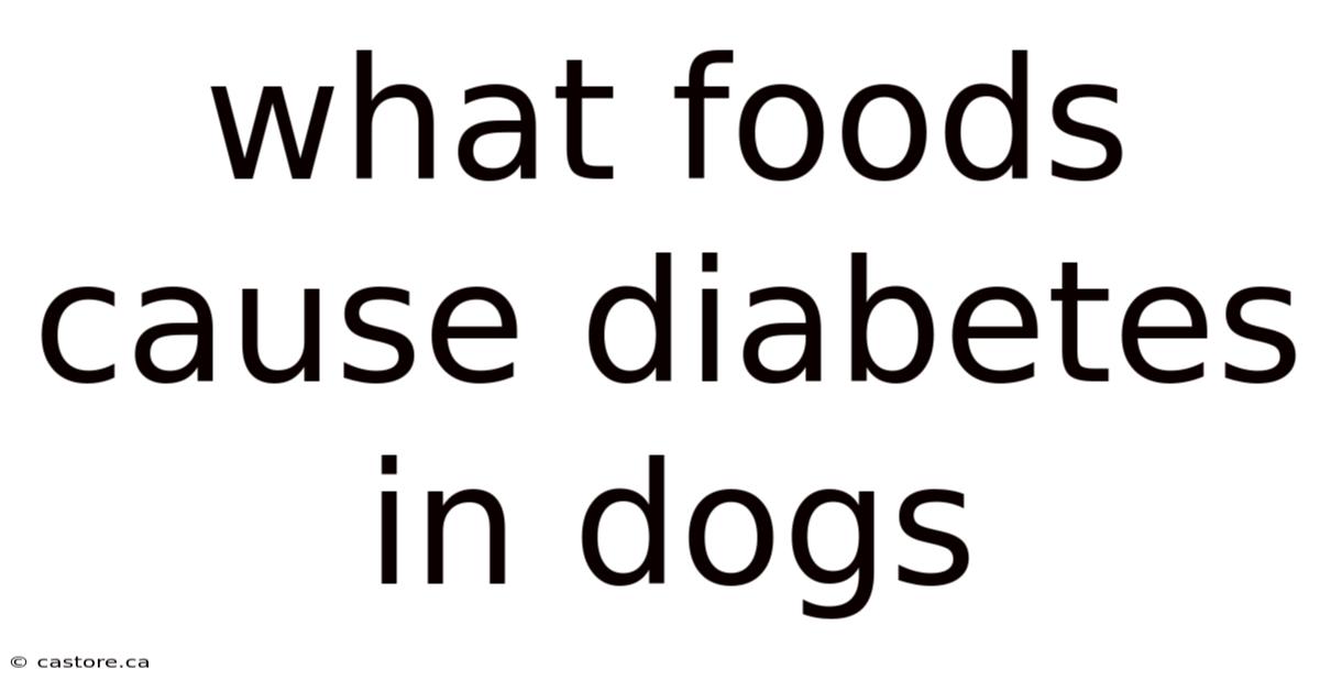 What Foods Cause Diabetes In Dogs