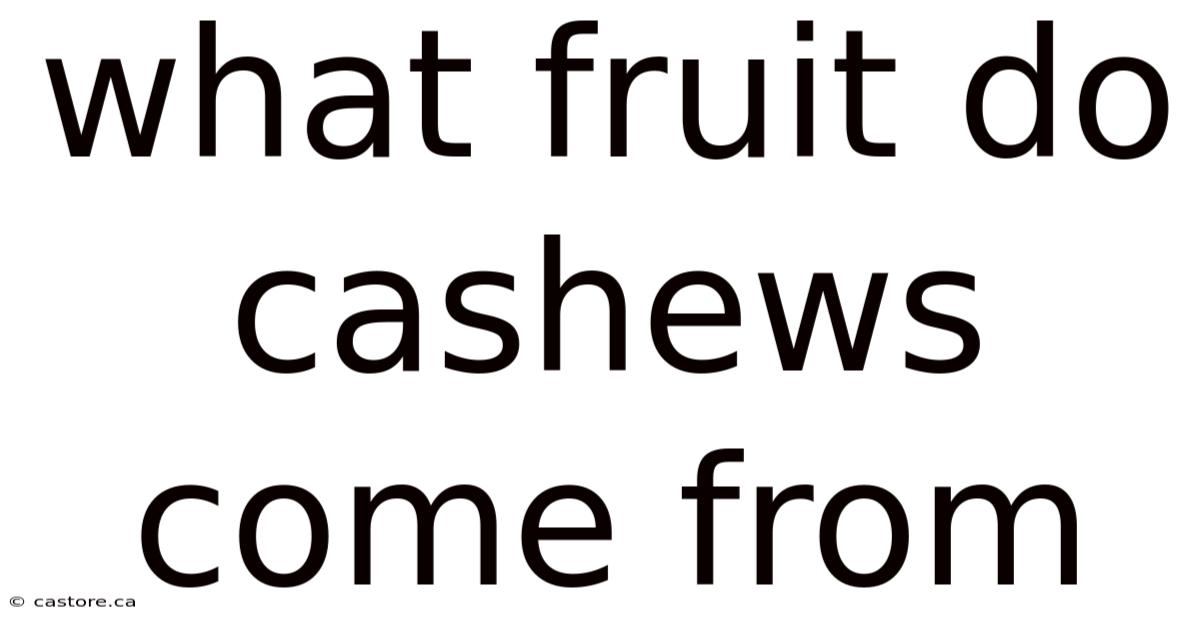What Fruit Do Cashews Come From