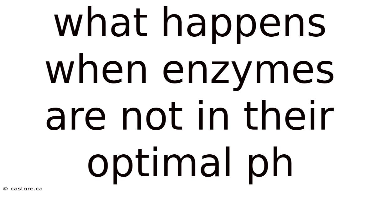 What Happens When Enzymes Are Not In Their Optimal Ph