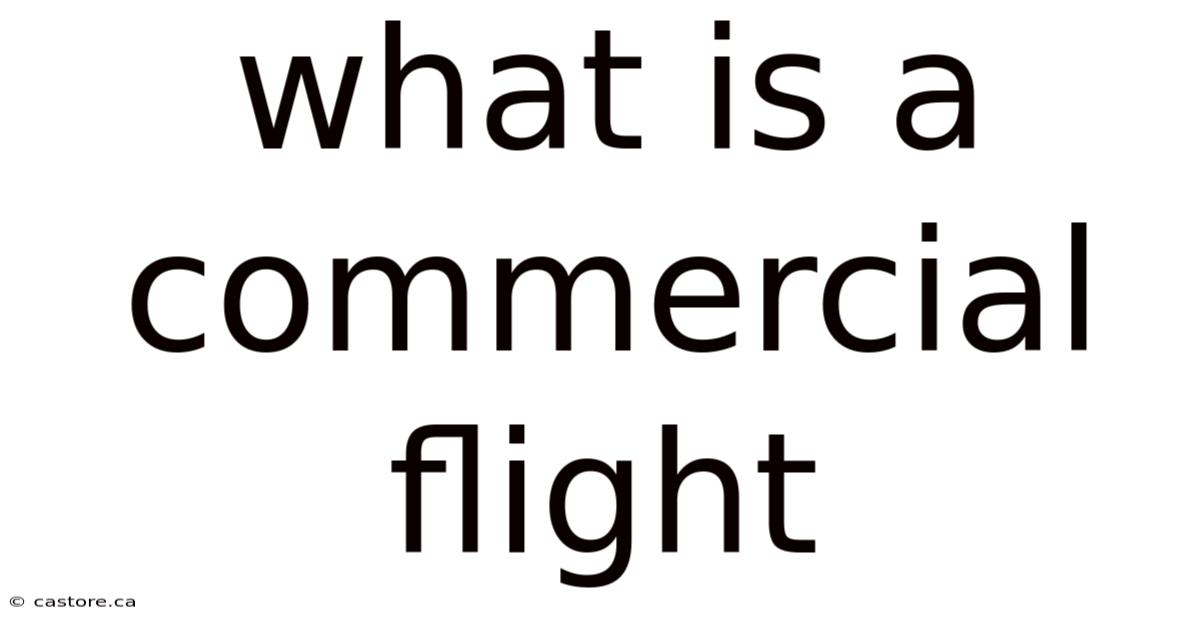 What Is A Commercial Flight