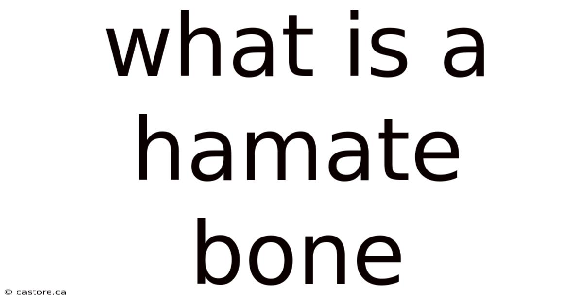 What Is A Hamate Bone
