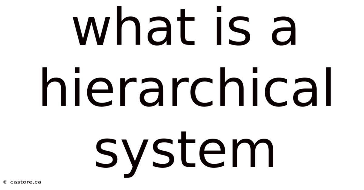 What Is A Hierarchical System