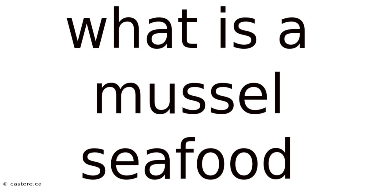 What Is A Mussel Seafood