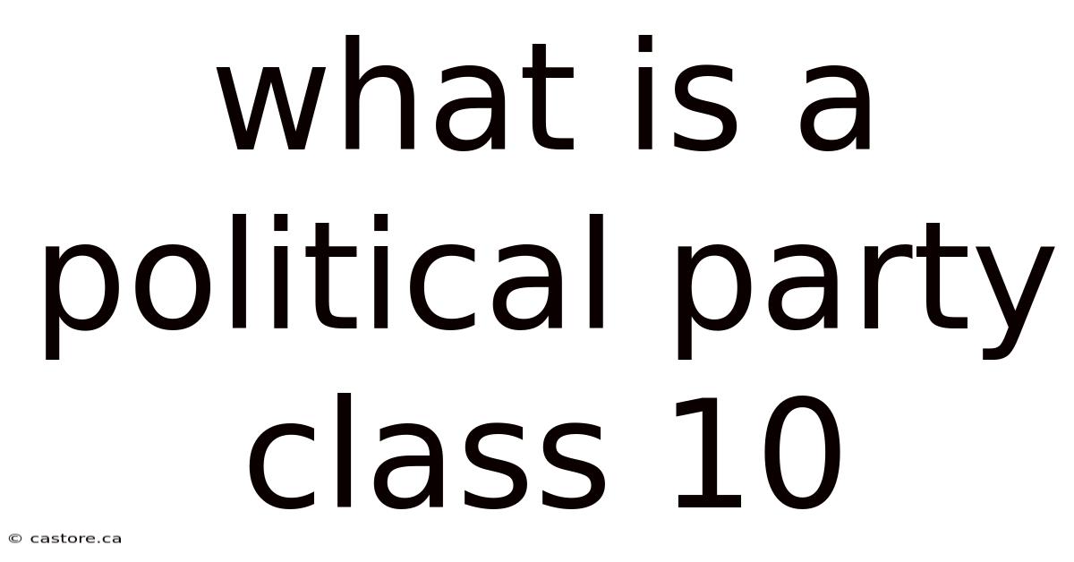 What Is A Political Party Class 10