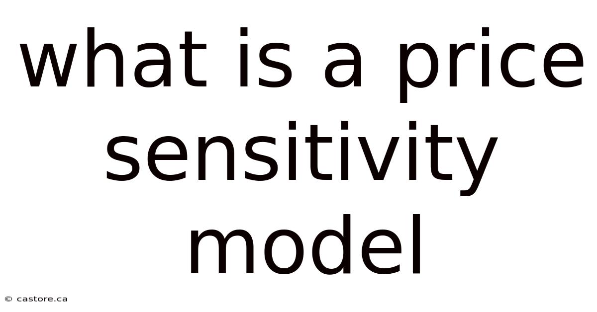 What Is A Price Sensitivity Model