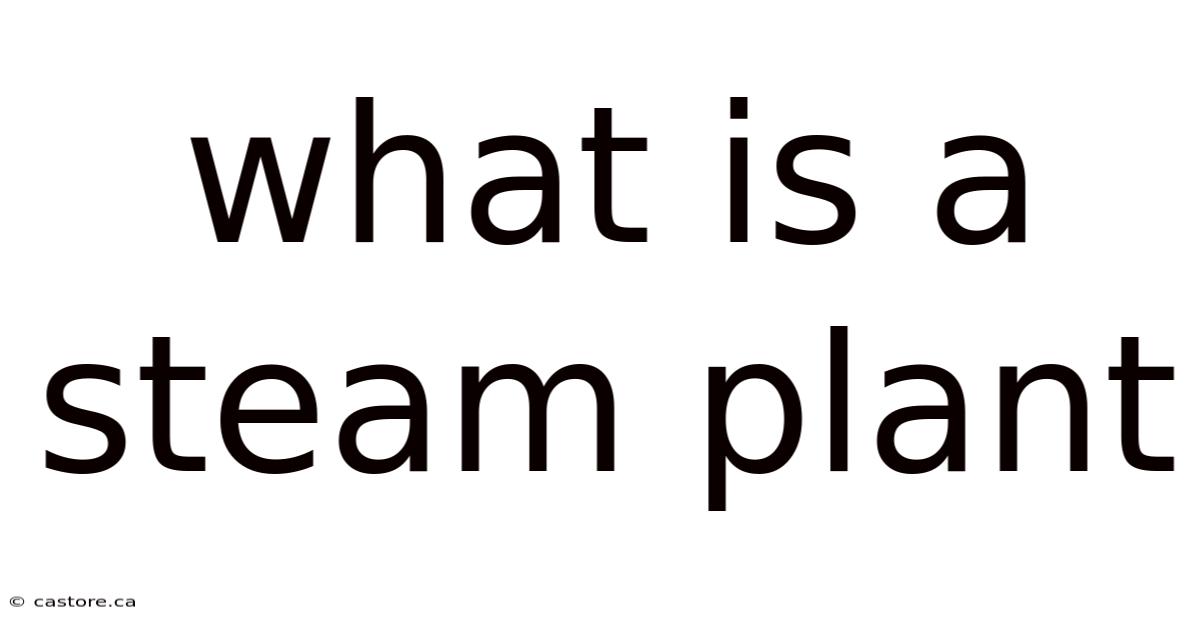 What Is A Steam Plant