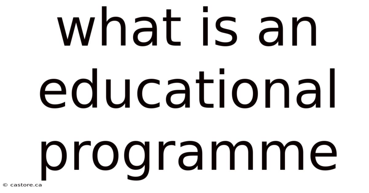 What Is An Educational Programme