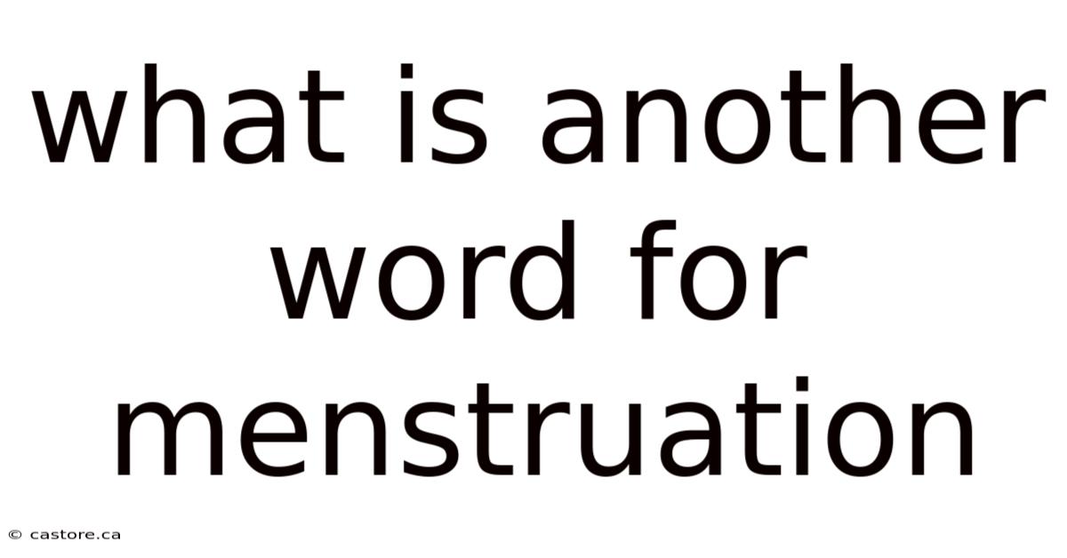 What Is Another Word For Menstruation